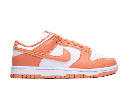 Women's Nike Dunk Low Next Nature